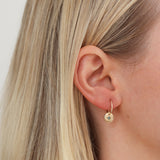 Starry Night Sleeper Earrings